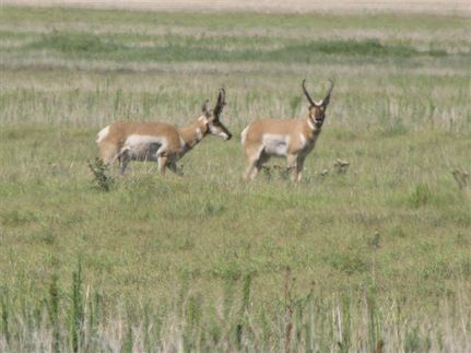 Property in Dallam County, Texas