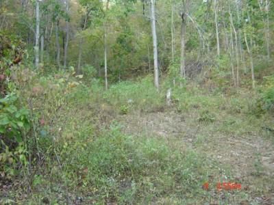 Property in Gallia County, Ohio