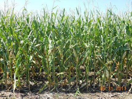 Property in Lancaster County, Nebraska