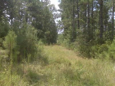 Property in Winn Parish, Louisiana