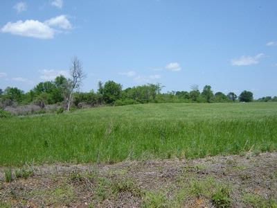 Property in Franklin County, Alabama