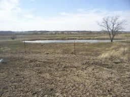 Property in Fannin County, Texas