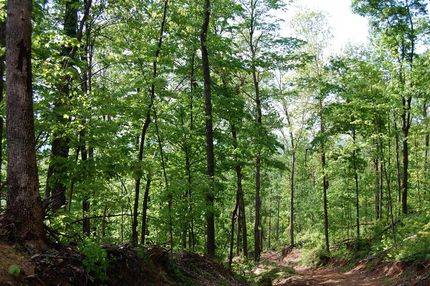 Property in Franklin County, Tennessee