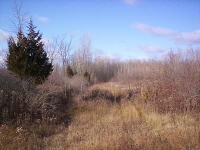 Property in Tuscola County, Michigan
