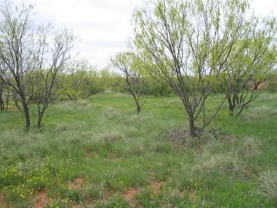 Property in Haskell County, Texas