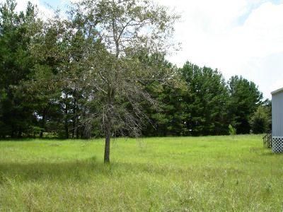 Property in Levy County, Florida