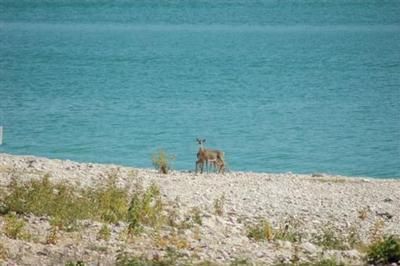 Property in Bandera County, Texas