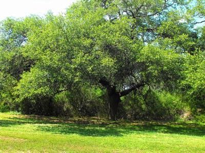 Property in Uvalde County, Texas