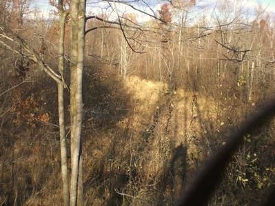 Property in Arenac County, Michigan