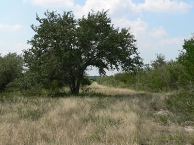 Property in Live Oak County, Texas