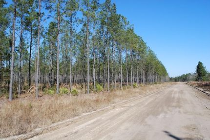 Property in Long County, Georgia