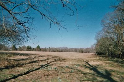 Property in Henderson County, Texas