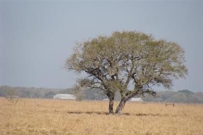 Property in Wharton County, Texas