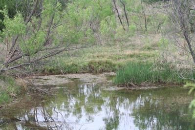 Property in Kent County, Texas