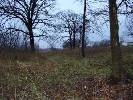 Property in Cedar County, Missouri