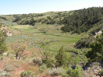 Property in Petroleum County, Montana