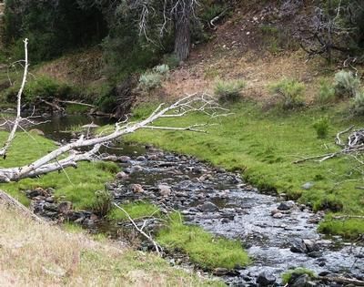 Property in Rio Arriba County, New Mexico