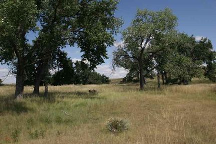 Property in Kiowa County, Colorado