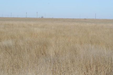 Property in Swisher County, Texas