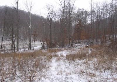 Property in Adams County, Ohio