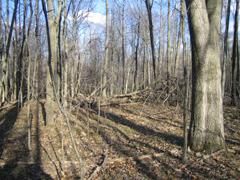 Property in Livingston County, Michigan