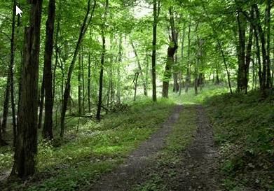 Property in Holmes County, Ohio