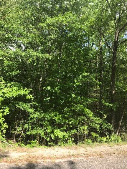 Property in Newberry County, South Carolina