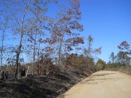 Property in Schley County, Georgia