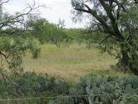 Property in Concho County, Texas