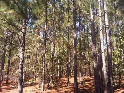 Property in Kershaw County, South Carolina