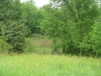 Property in Taylor County, Iowa