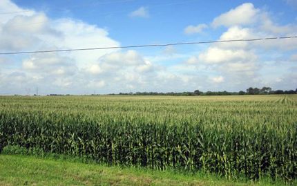 Property in Will County, Illinois