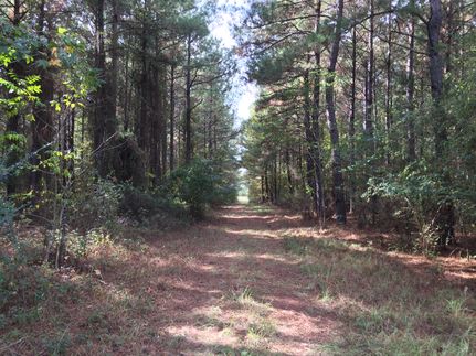 Property in Caddo Parish, Louisiana