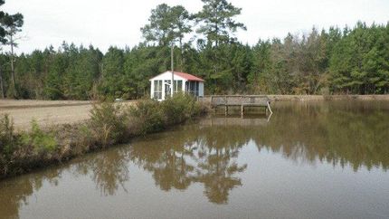 Property in Mitchell County, Georgia