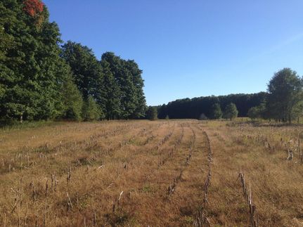 Property in Wexford County, Michigan