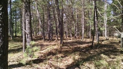 Property in Vilas County, Wisconsin