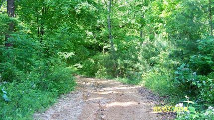 Property in Cherokee County, Alabama