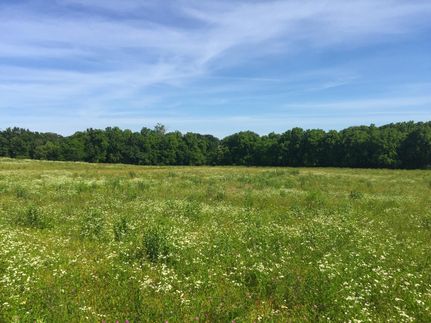 Property in Johnson County, Missouri