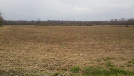 Property in Ashley County, Arkansas