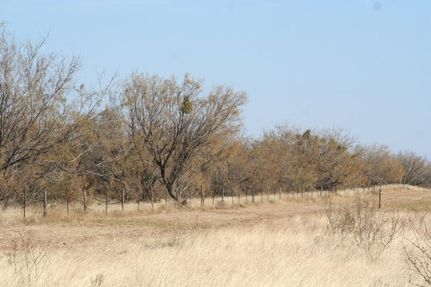 Property in Stonewall County, Texas