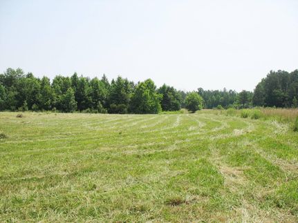Property in Surry County, Virginia