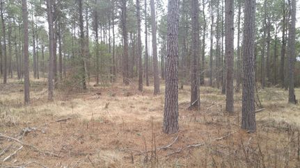 Property in Ouachita County, Arkansas
