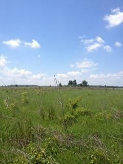 Property in Issaquena County, Mississippi