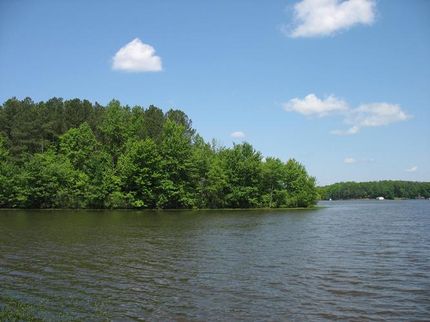 Property in Dinwiddie County, Virginia