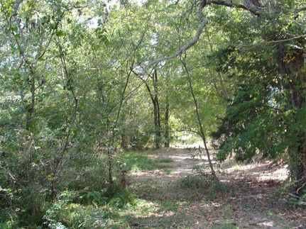 Property in Rains County, Texas