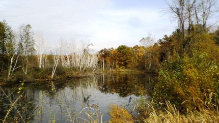 Property in Livingston County, Michigan