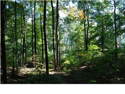 Property in Hamilton County, Tennessee