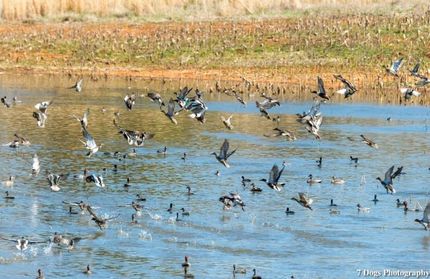 Property in Jackson County, Alabama