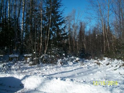 Property in Oneida County, Wisconsin