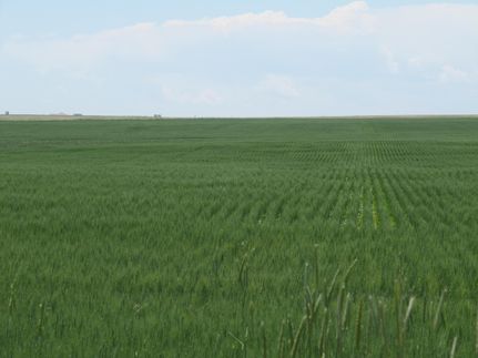 Property in Adams County, Colorado